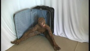 Flexible Rachel Girl in Tiger Catsuit